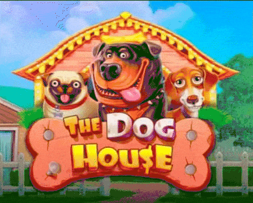 Play The Dog House in Patrickspins Casino